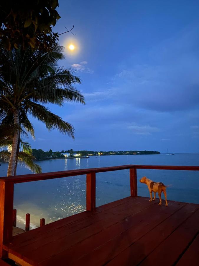 Las Palmeras Oceanview Hotel And Dive Center Малий Кукурудзяний острів Екстер'єр фото
