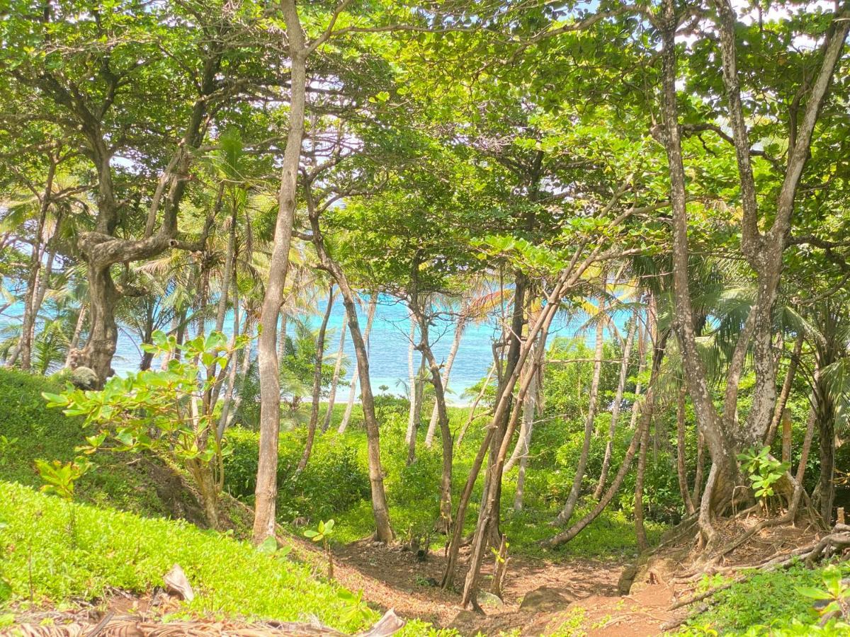 Las Palmeras Oceanview Hotel And Dive Center Малий Кукурудзяний острів Екстер'єр фото
