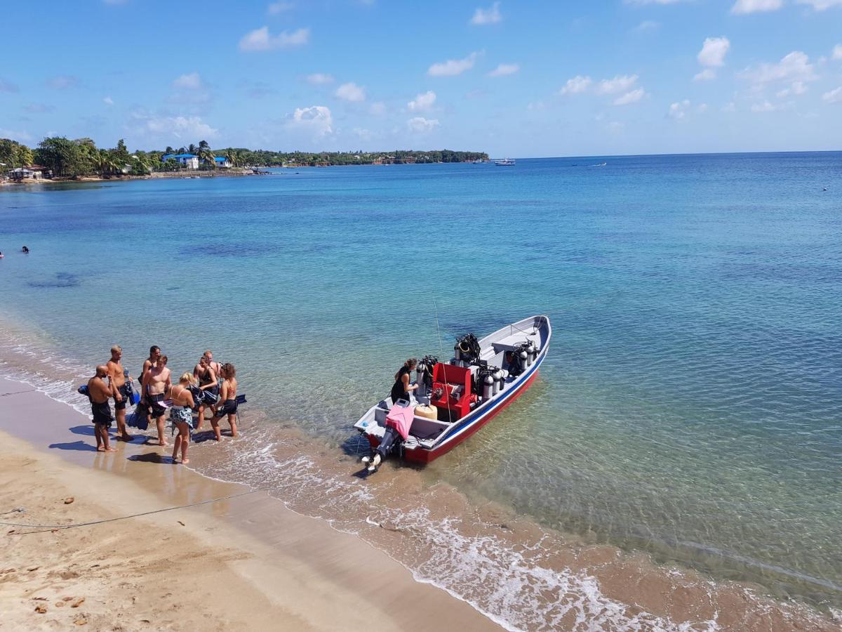 Las Palmeras Oceanview Hotel And Dive Center Малий Кукурудзяний острів Екстер'єр фото